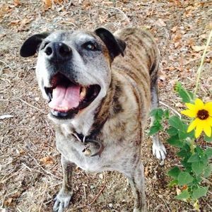 Meet your Posher, Justin